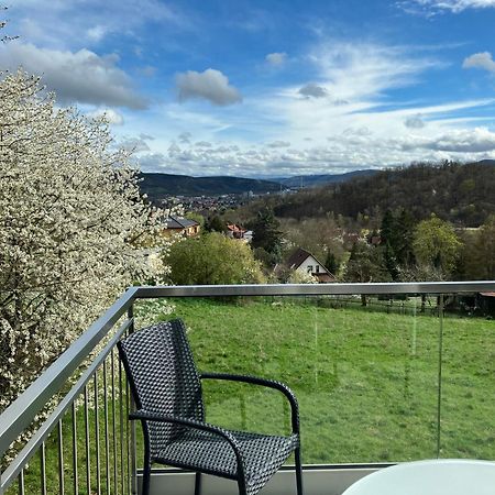 Studioappartment Saaleblick Rudolstadt Eksteriør bilde