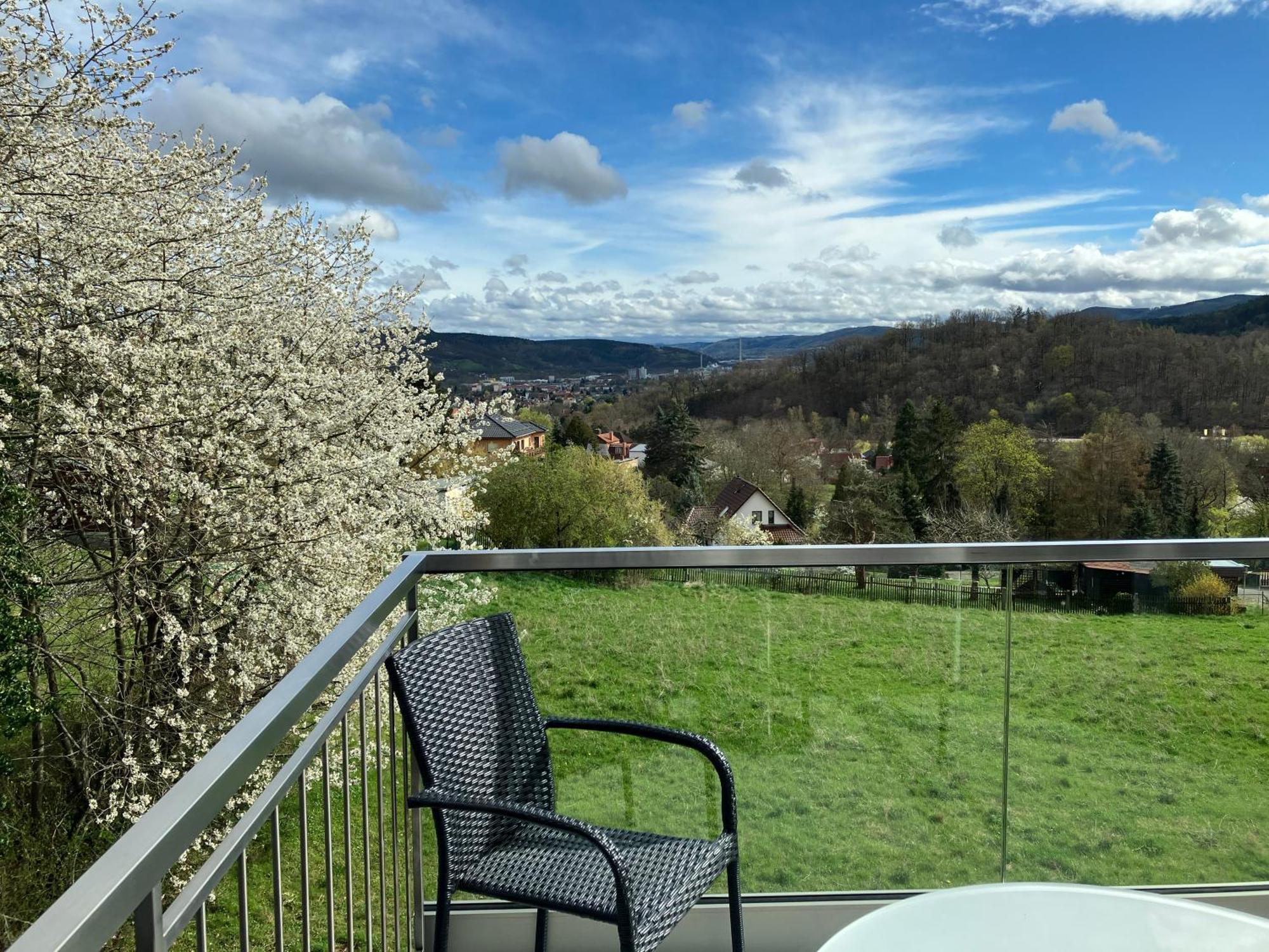 Studioappartment Saaleblick Rudolstadt Eksteriør bilde
